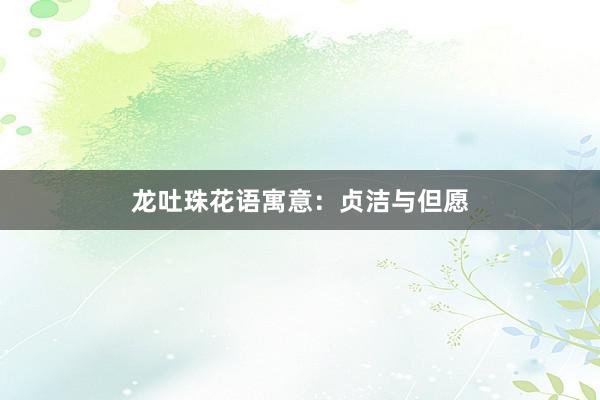 龙吐珠花语寓意：贞洁与但愿